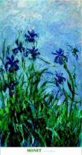 les-iris-mauves-2801861[1].jpg